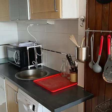 Apartmán Skis Aux Pieds, Commerces Et Loisirs A Proximite ! - Fr-1-814-39 *